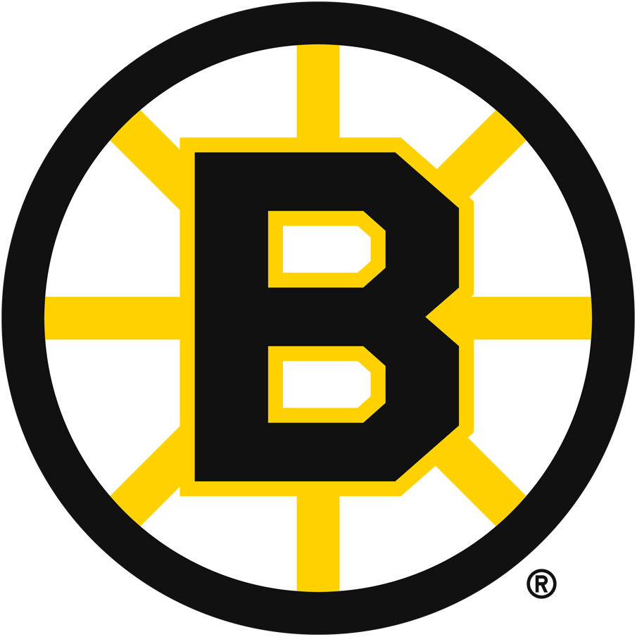 Boston Bruins 1949 50-1994 95 Primary Logo iron on paper